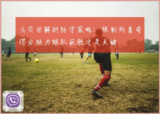 戈贝尔解析防守策略：限制约基奇得分助力球队获胜才是关键