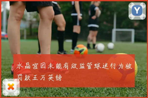 水晶宫因未能有效监管球迷行为被罚款五万英镑