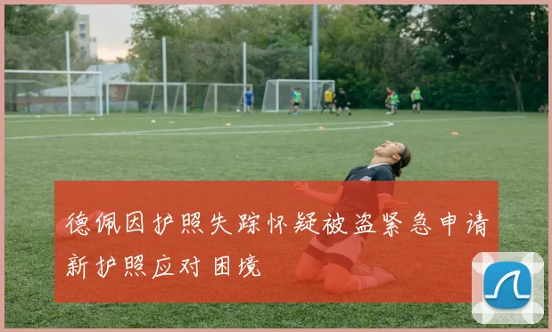 德佩因护照失踪怀疑被盗紧急申请新护照应对困境