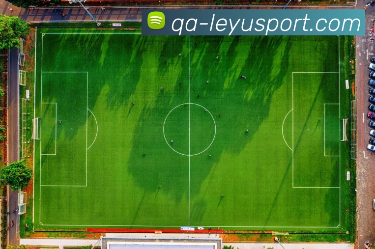 乐鱼体育APP 封面图